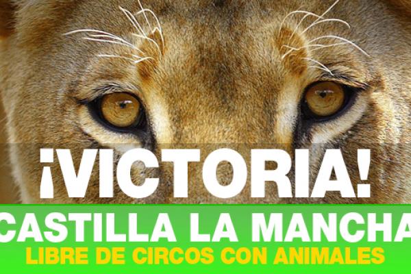 Castilla la Mancha prohibe circos con animales salvajes