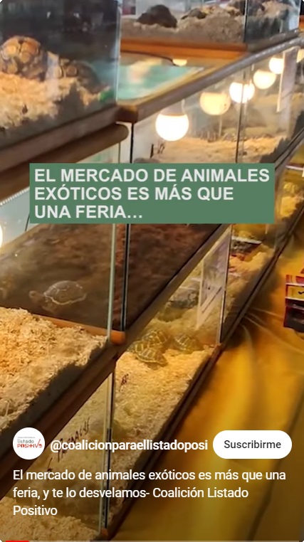 Video feria animales exóticos Granada Coalición Listado Positivo