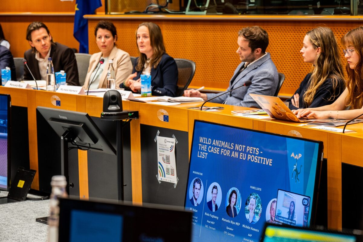 June 2025 lanzamiento de la campaña de AAP #WildAnimalsNotPets en el Parlamento Europeo