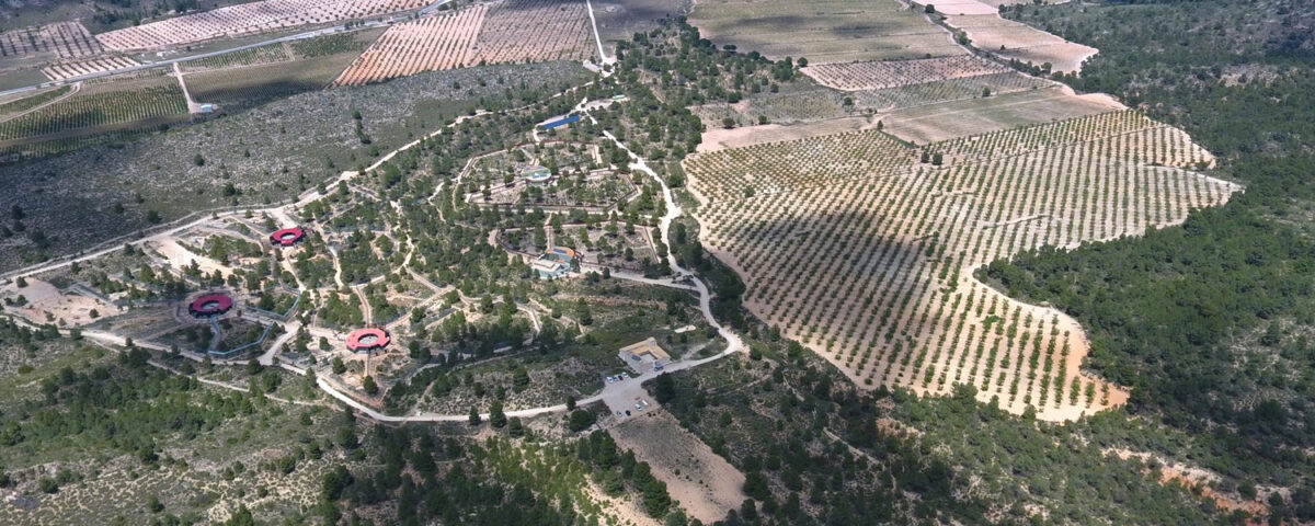 AAP Primadomus y la parecla de almendros aledaña