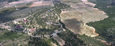 AAP Primadomus y la parecla de almendros aledaña