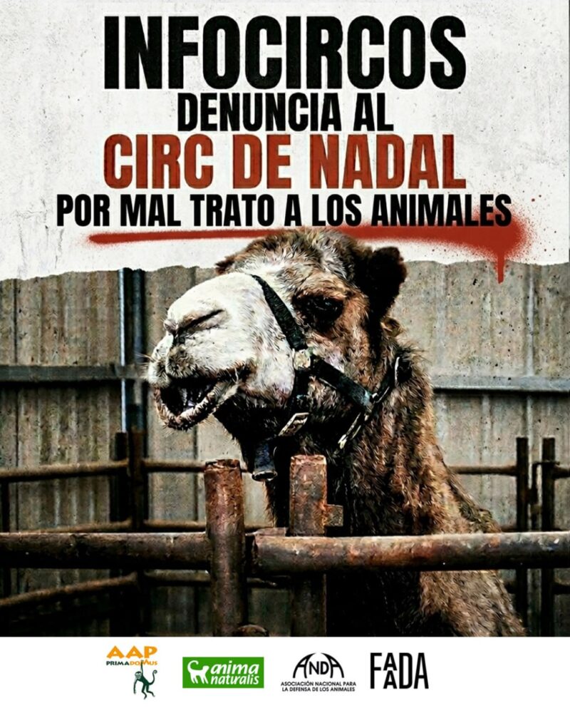 InfoCircos Circ Nadal